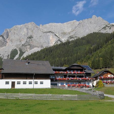 Feichtlehnerhof Bed & Breakfast Ramsau am Dachstein Dış mekan fotoğraf