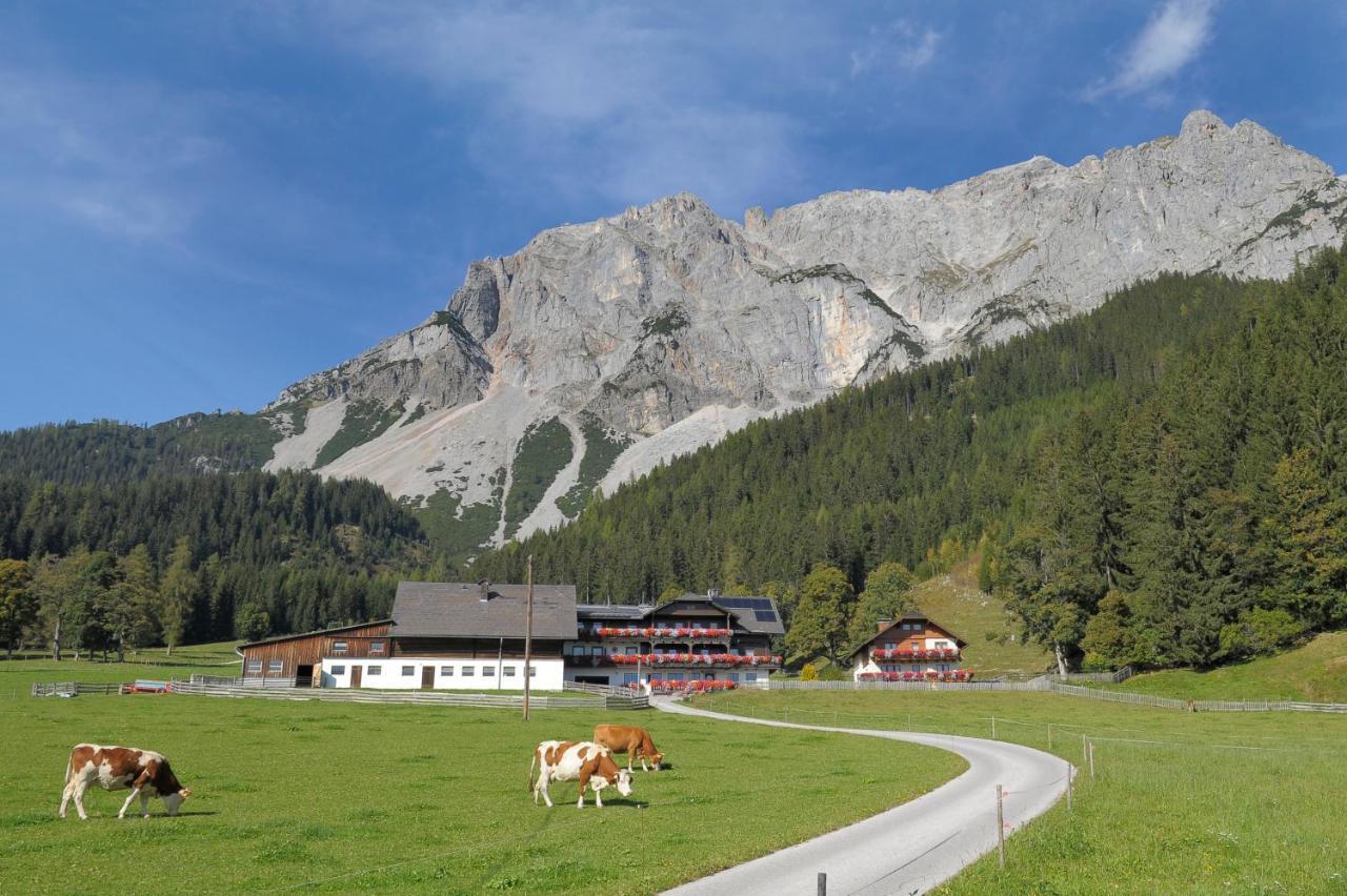 Feichtlehnerhof Bed & Breakfast Ramsau am Dachstein Dış mekan fotoğraf